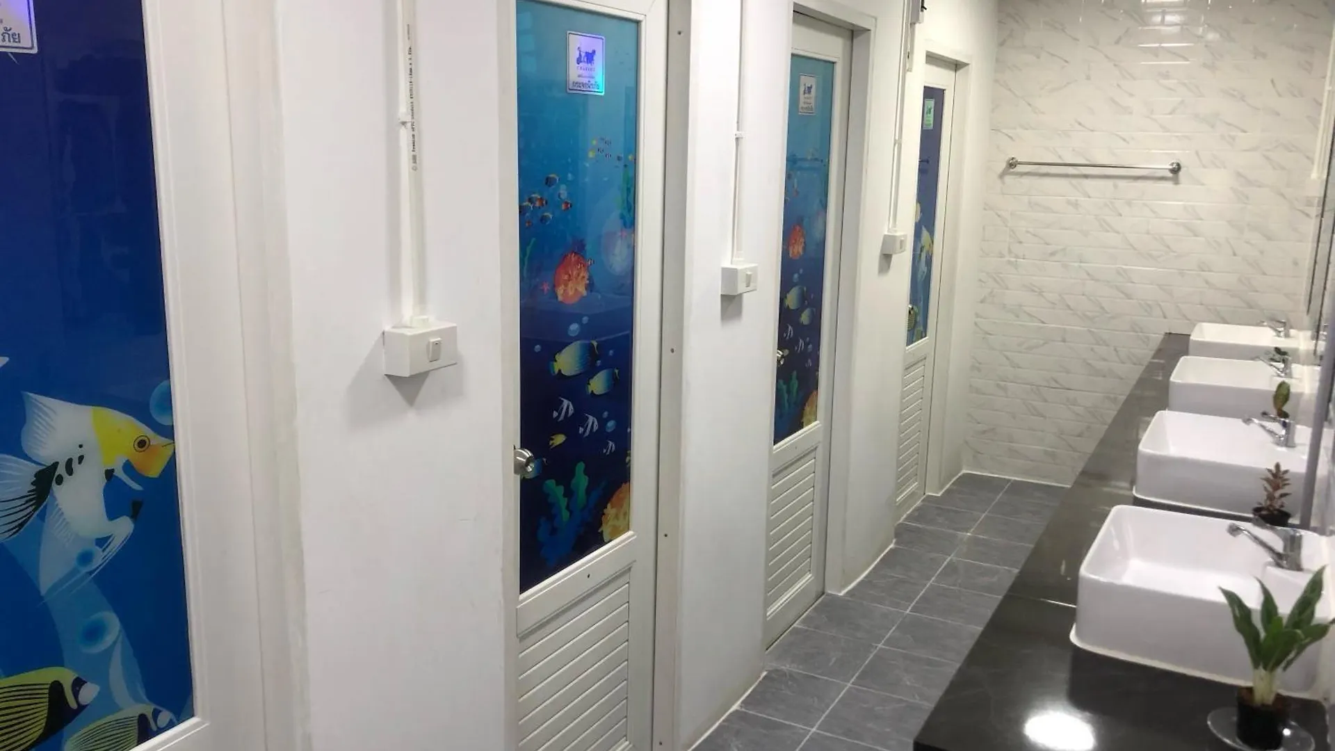 The City Hostel 皮皮岛 泰国