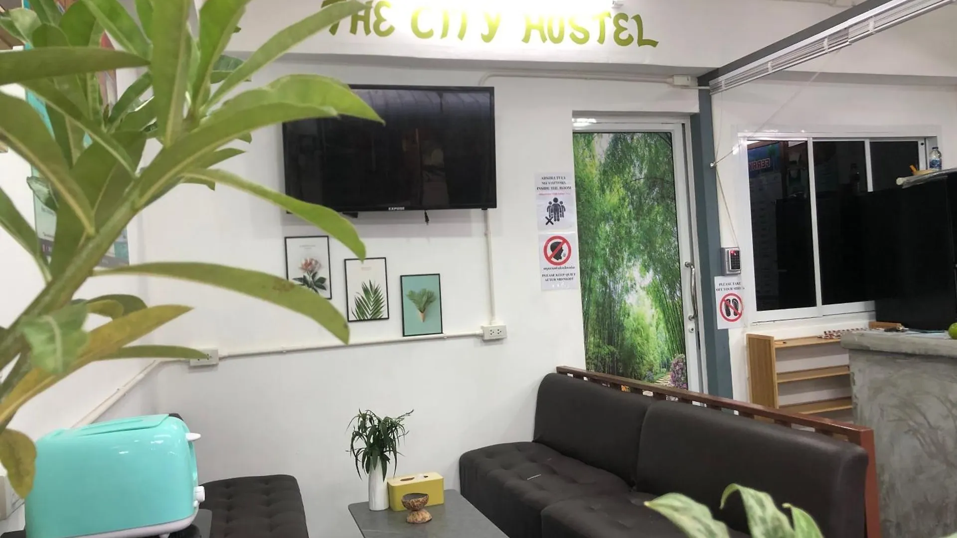 The City Hostel 皮皮岛