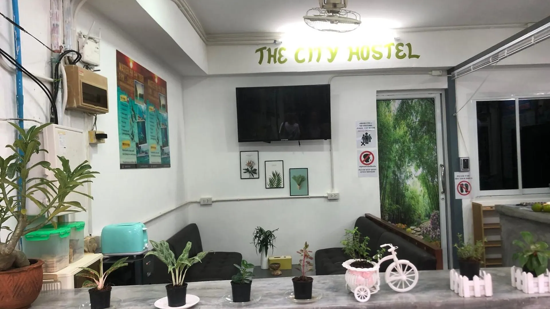 The City Hostel Phi Phi Don